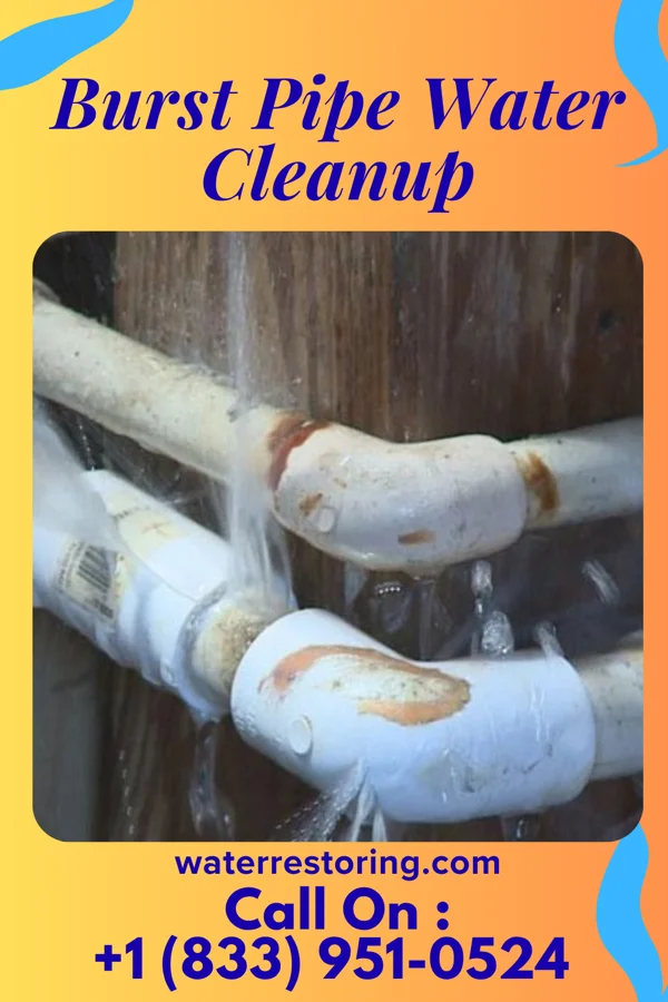 Burst Pipe Water Cleanup in West Pelzer, SC