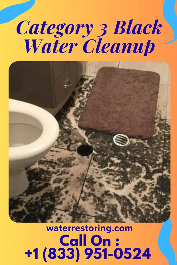Category 3 Black Water Cleanup in West Pelzer, SC