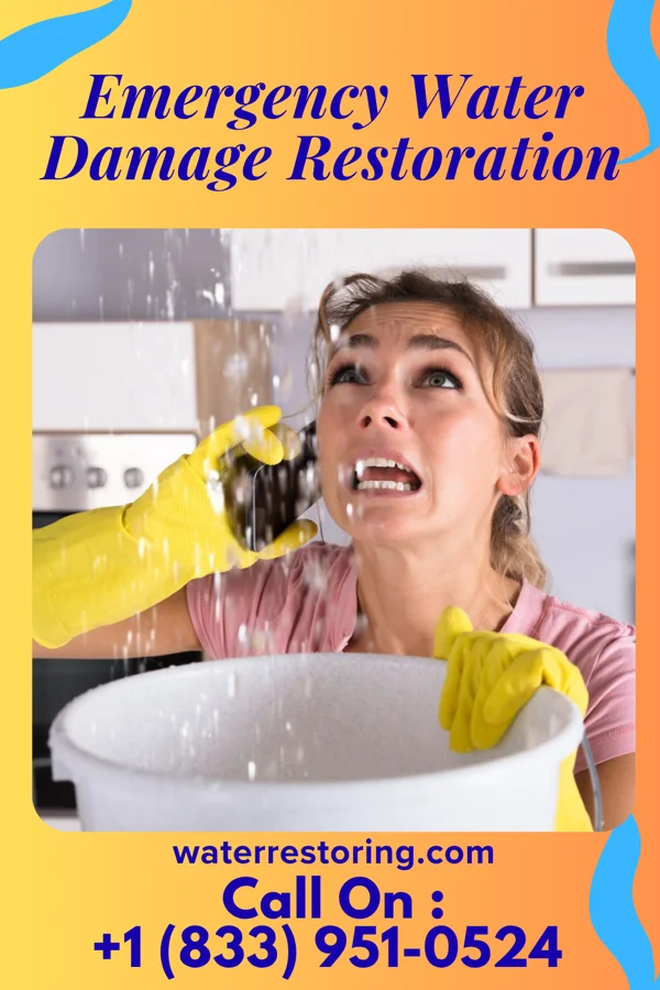 Emergency Water Damage Restoration in West Pelzer, SC