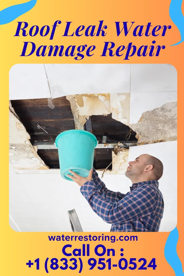 Roof Leak Water Damage Repair in West Pelzer, SC