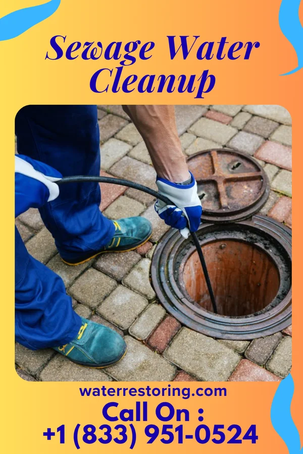 Sewage Water Cleanup in West Pelzer, SC